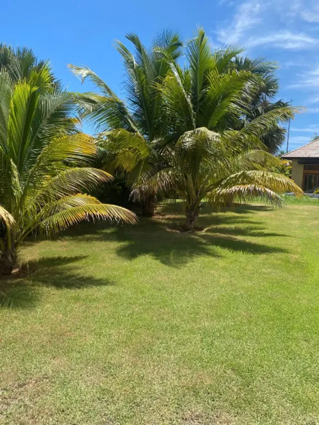 Casa En Cap Cana, Punta Cana, USD$ 795,000