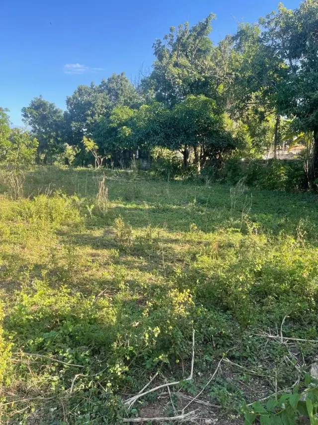 Hermoso terreno en Sosua – Carretera el choco, USD$ 400,000