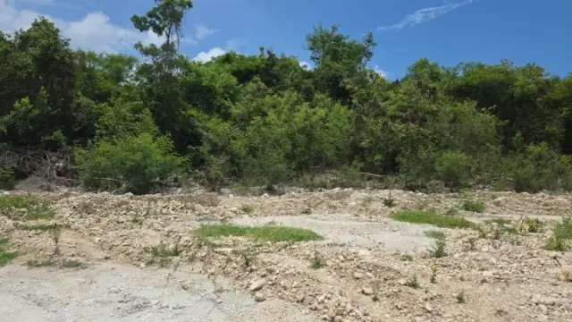 Solar de 1,122m² en Cap Cana, desde $297,000, para villa., USD$ 290,000