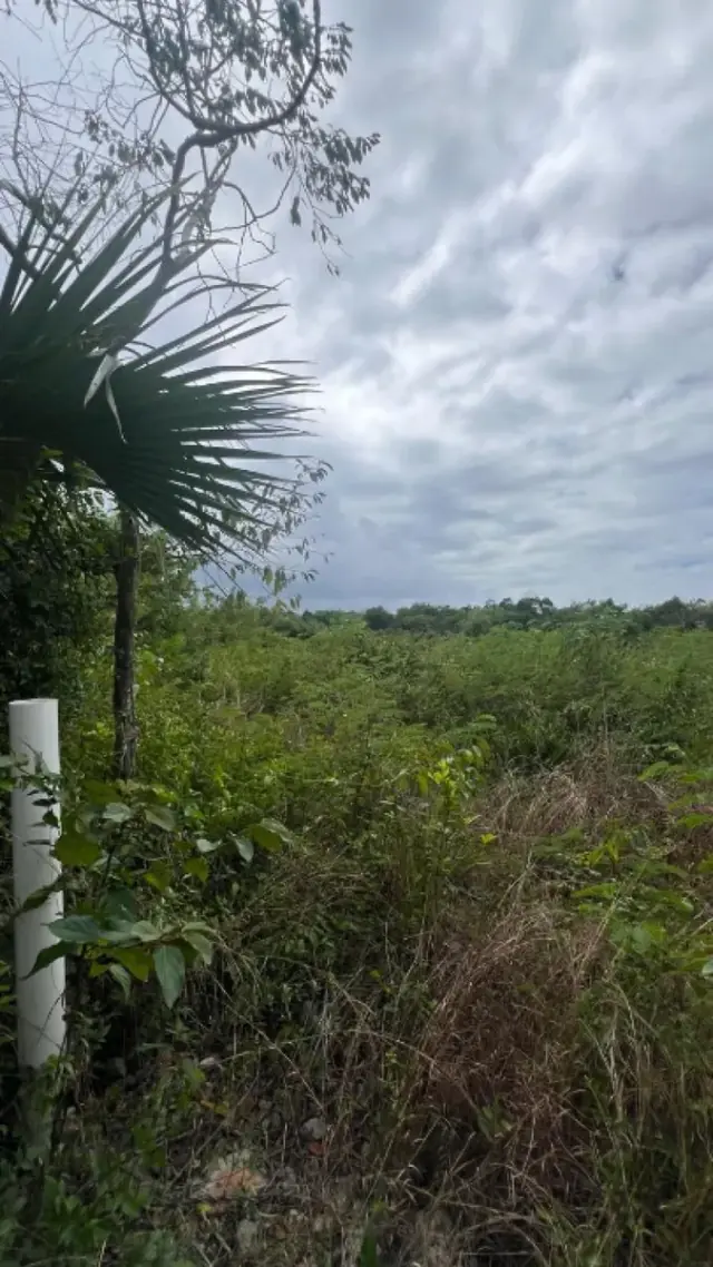 Solar de 4000 metros en Juan Dolio, USD$ 120,000