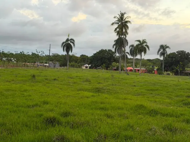 SOLAR DE VENTA EN SAMANA-PALMARITO, USD$ 1,700,000