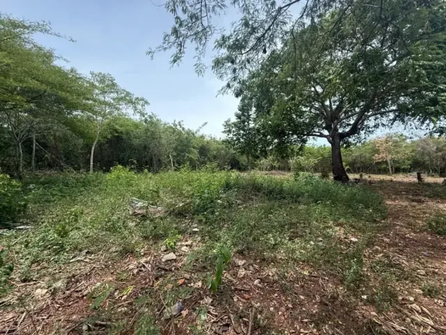 Terreno amplio en venta en Juan Dolio, USD$ 393,300