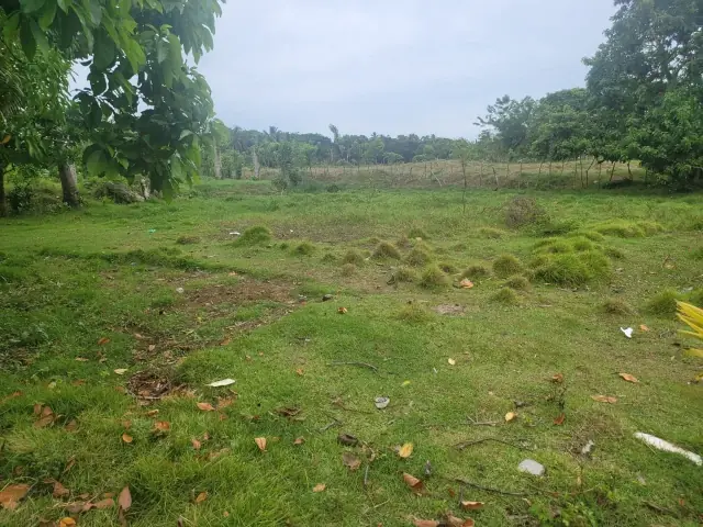 OFERTA – TERRENO EN CABARETE DISPONIBLE, USD$ 80,000