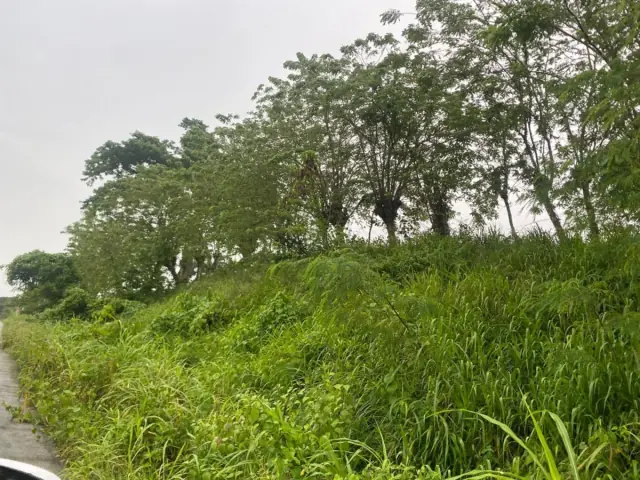 Terreno en Gaspar Hernández, La Cantera, USD$ 540,800