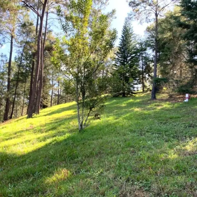 Terreno En Jarabacoa, Jarabacoa, USD$ 445,700