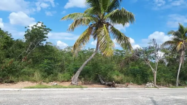 Terreno En Juan Dolio, Guayacanes, USD$ 100,000