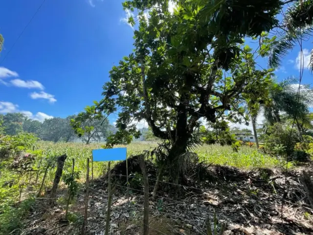 Terreno En La Novilla, Río San Juan, USD$ 518,232