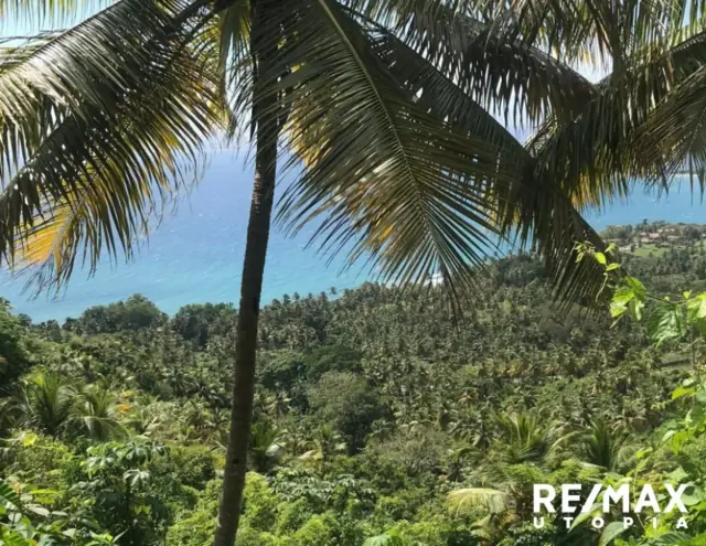 Terreno En Río Los Cocos, Samaná, USD$ 6,500,000