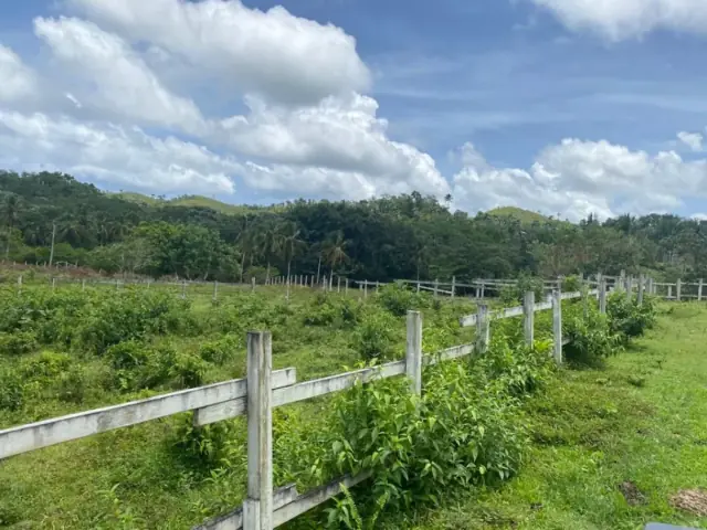 Terreno en Samaná Las Terrenas, Los Puentes, USD$ 1,337,000