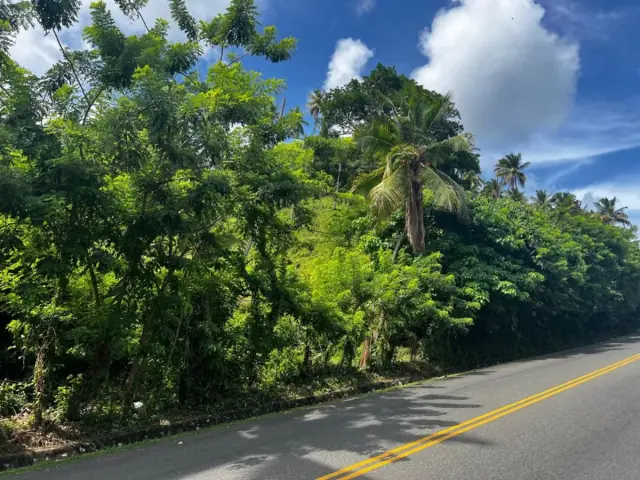 Terreno en Samaná, Sector Honduras, USD$ 3,396,000