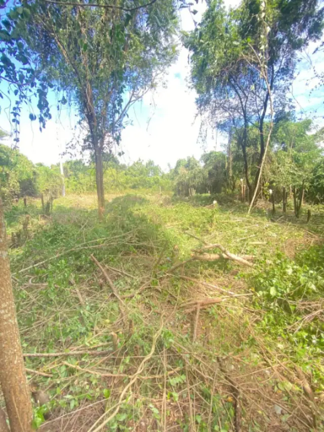TERRENO EN VENTA EN JUAN DOLIO CABAMAR SUR, USD$ 44,110