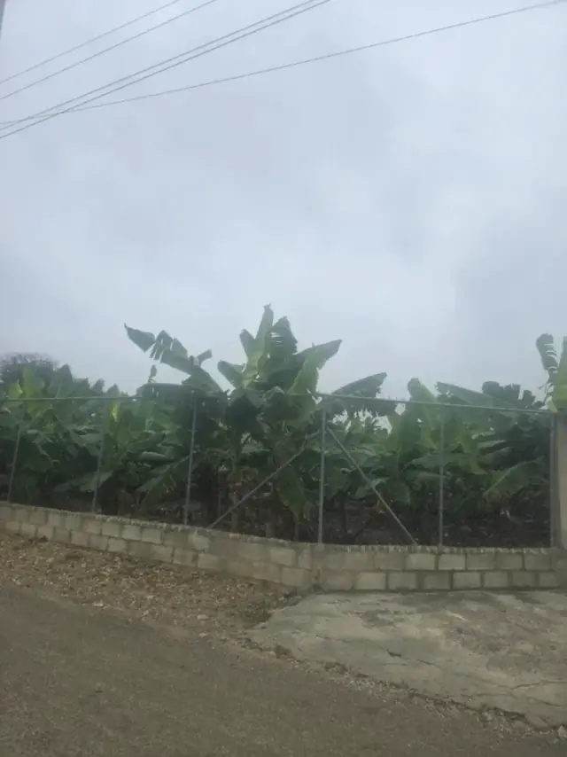 Terreno en venta en Licey al Medio, RD$ 22,324,000
