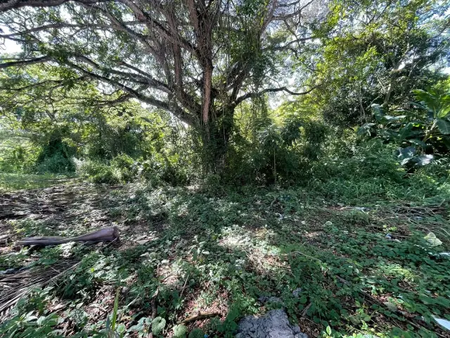 Terreno en Venta en Perla Marina entre Sosúa y Cabarete, USD$ 63,720