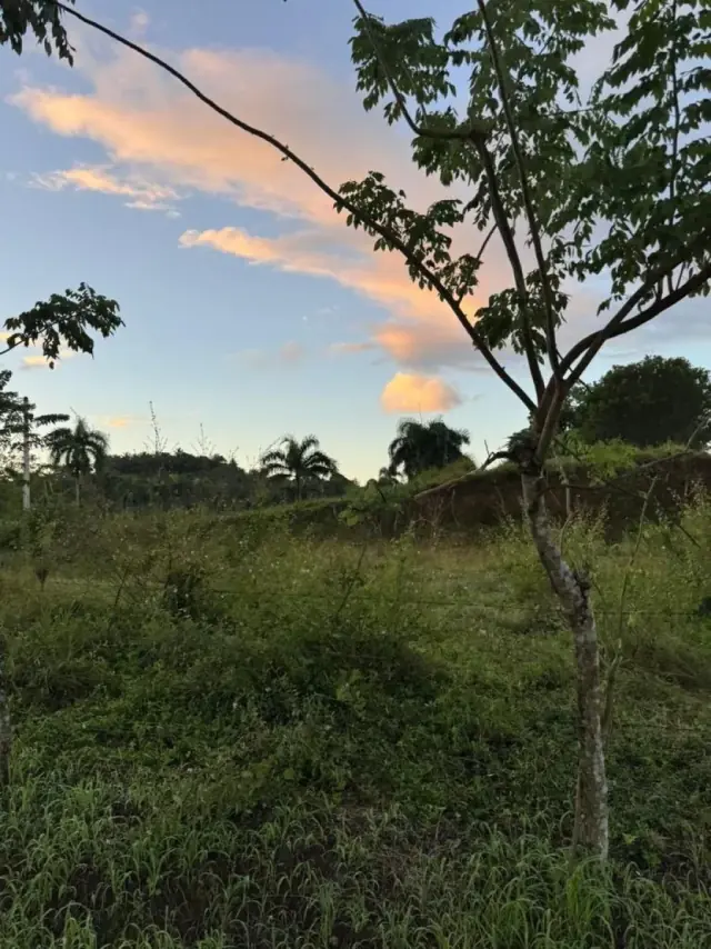 Terreno en venta en Río San Juan, 1117 m², RD$ 4,693,165