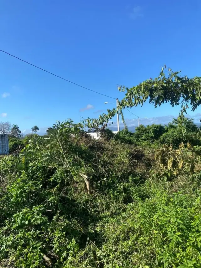Terreno en Venta en Río San Juan, Santa Lucía, USD$ 60,000