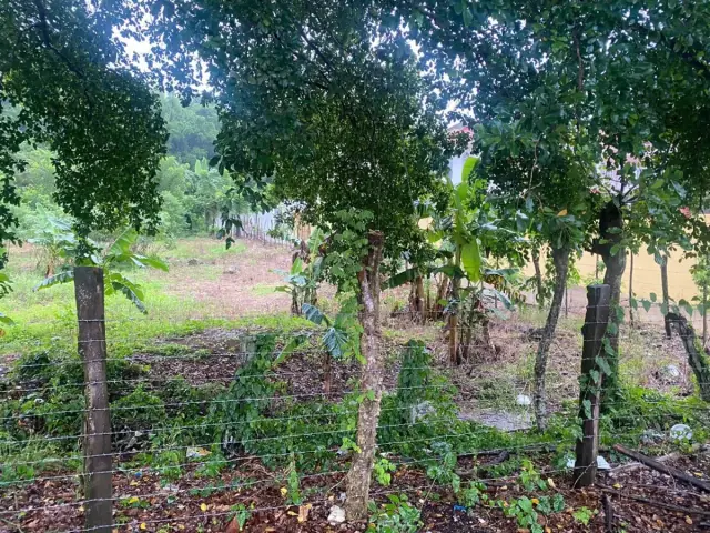 Terreno en Venta en Río San Juan, USD$ 180,000