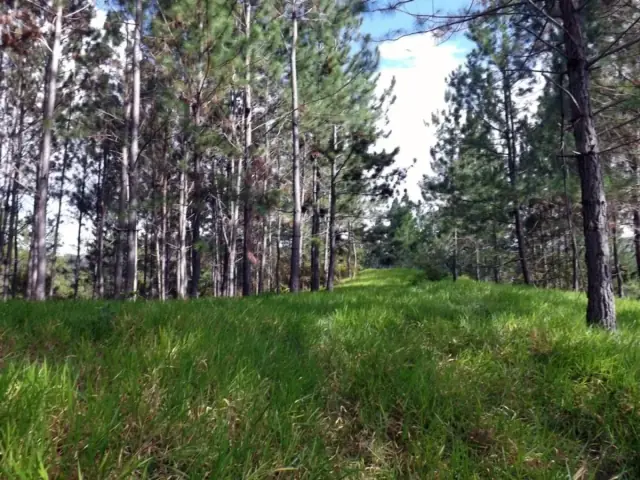 Vendo Finca en San Jose de Las Matas, USD$ 1,250,000