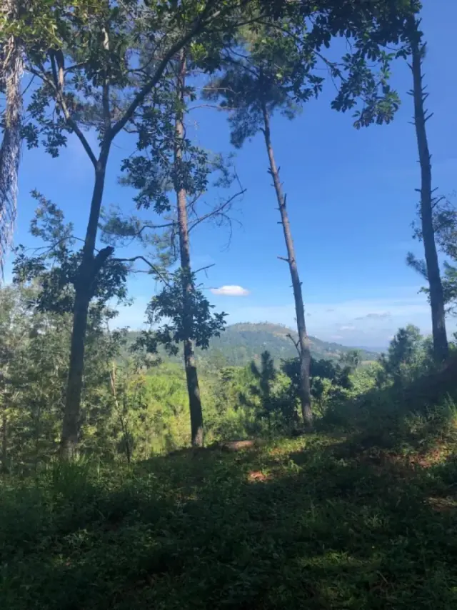 Venta de Solar en Quintas del Bosque Jarabacoa, USD$ 192,610