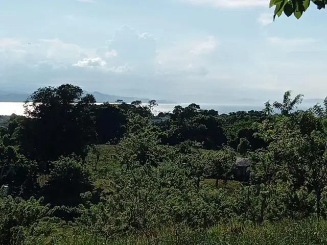 Venta Terreno 2,156m² en La Novilla Rio San Juan, USD$ 130,000